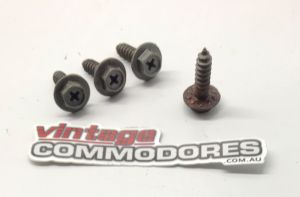 VL HEADLIGHT MOUNTING SCREW KIT GM SP3526 (X4)