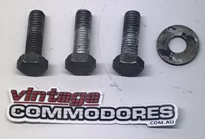 VL RB30 SIDE MOUNTED HIGH PRESSURE LINE POWER STEERING PUMP TO BRACKET BOLTS KIT GM 11041181(3)